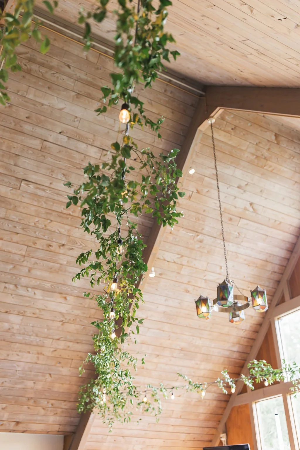 Decorative indoor ceiling featuring hanging greenery, a chandelier with stained glass lamps, and exposed wooden ceiling panels.