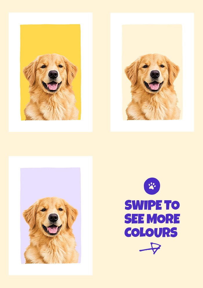 260518_tpp_colours_1.jpg