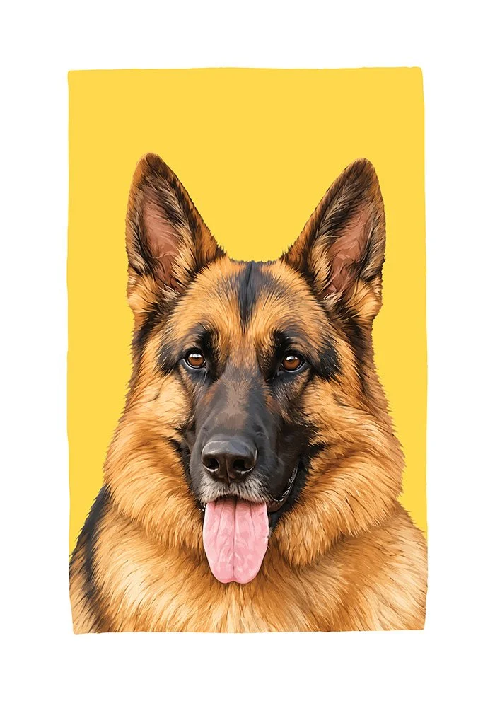 German Shepherd