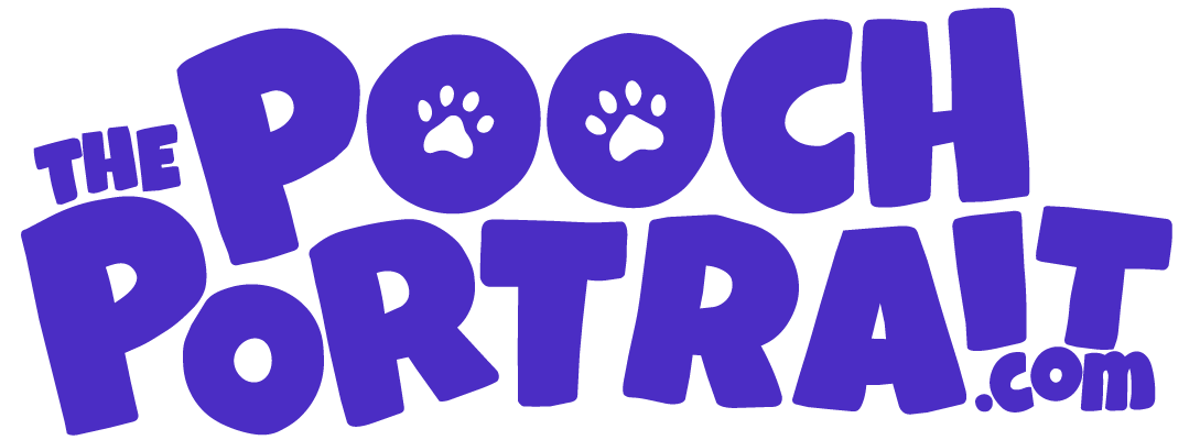 The Pooch Portrait