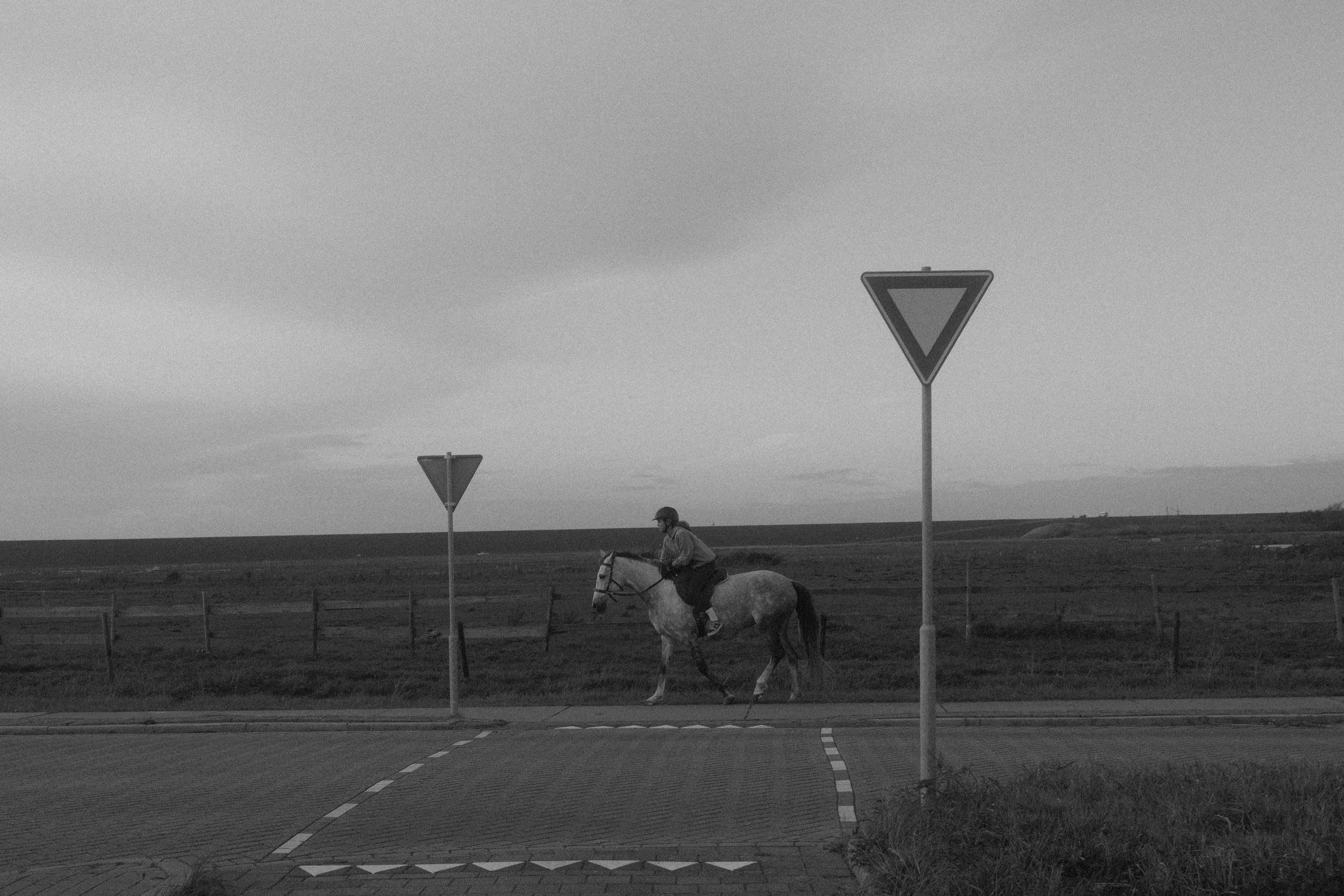 R0004544.jpg