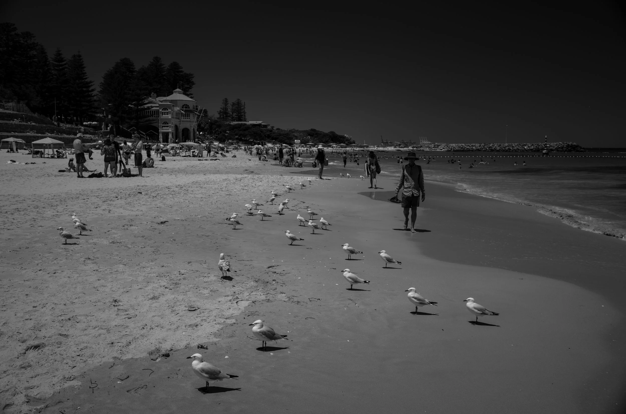 L1000622.jpg