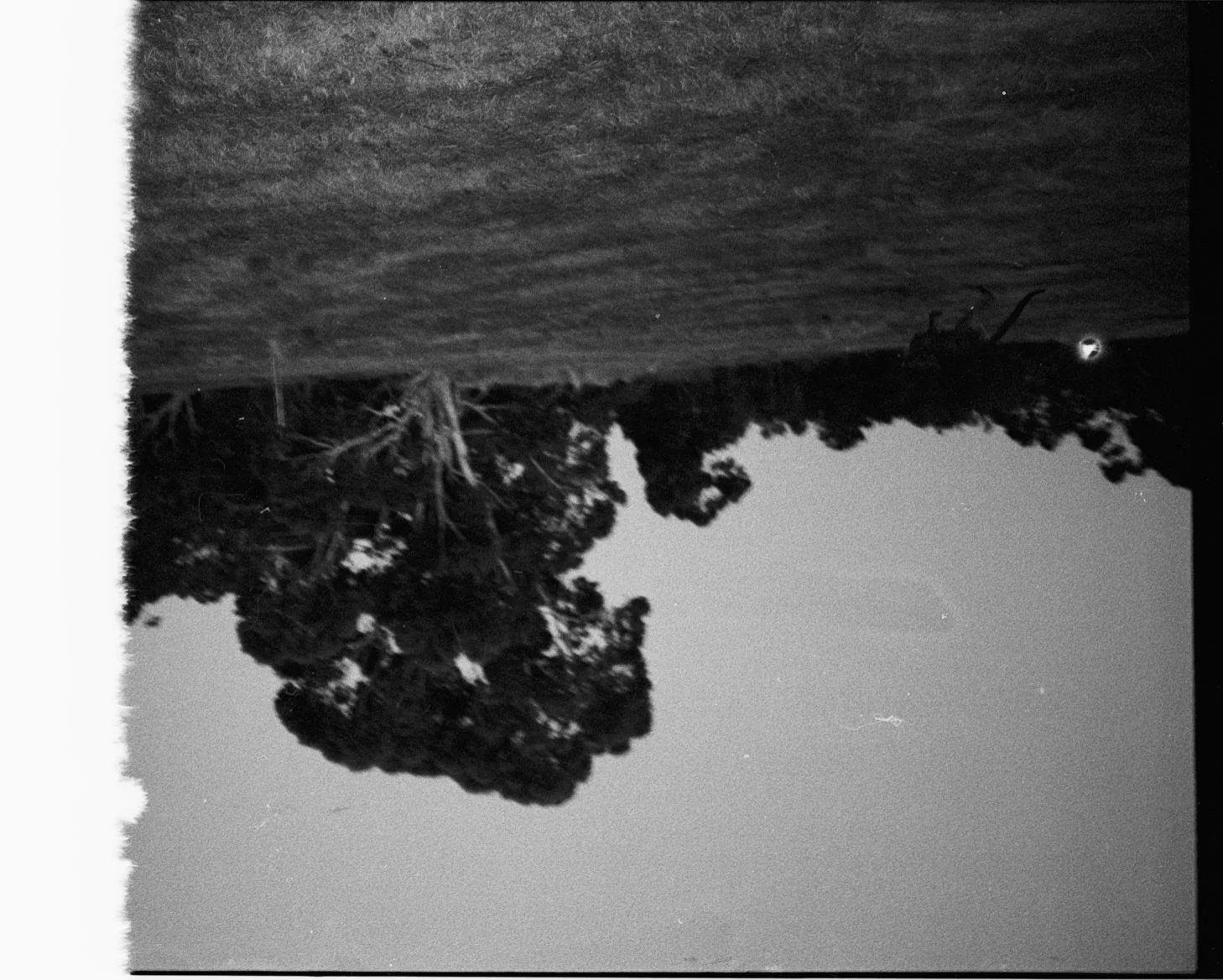 Ilford HP5_2.jpg