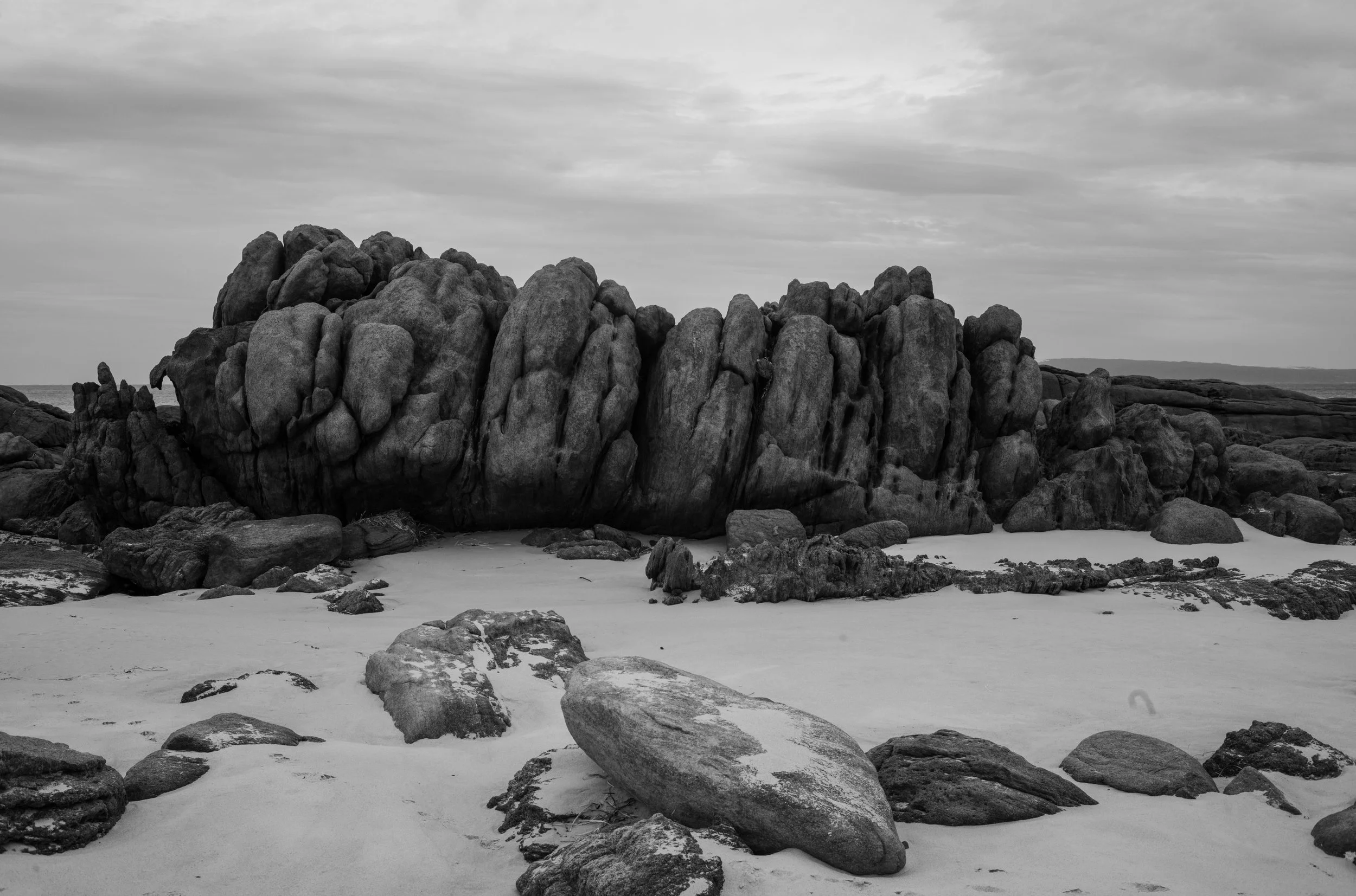 L1001664.jpg