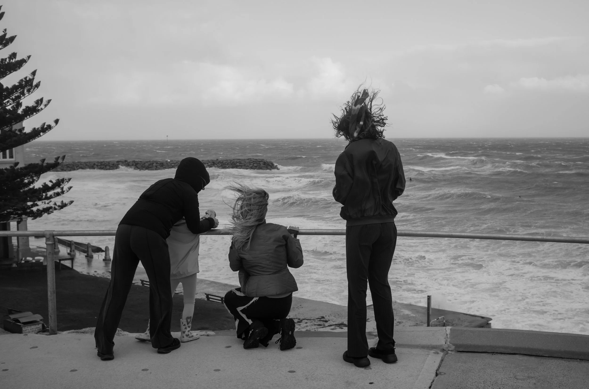 L1001744.jpg