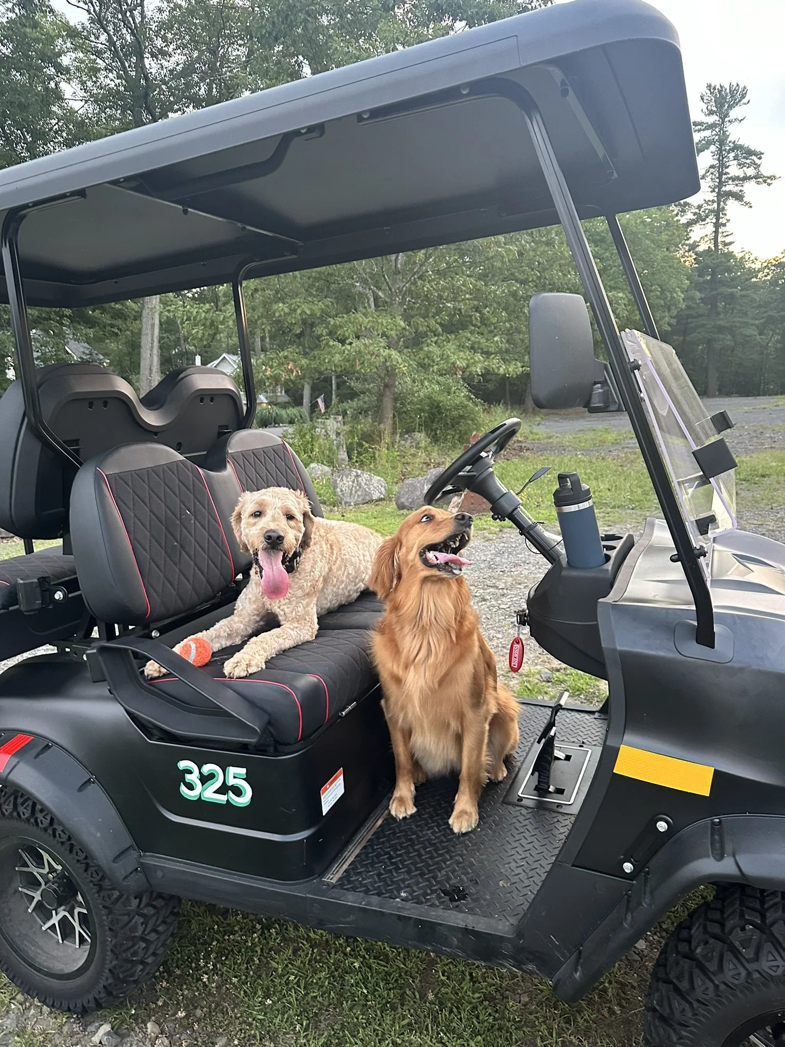 IMG_2367.JPEG