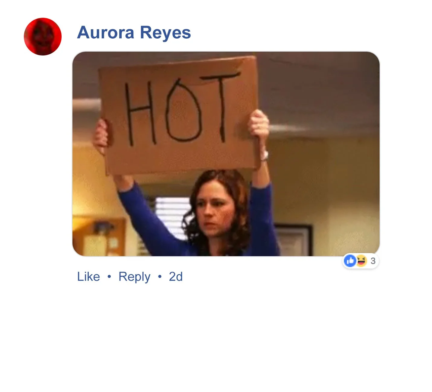 CUBS_SocialResponse_Aurora.jpg