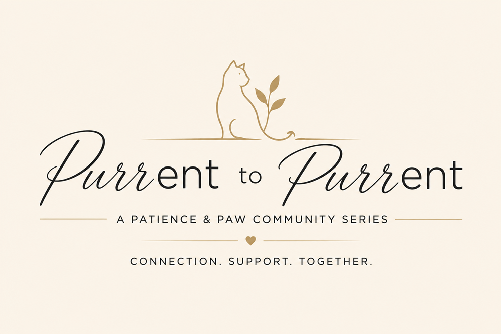 Purrent to Purrent: Feline Diabetes 🐾 