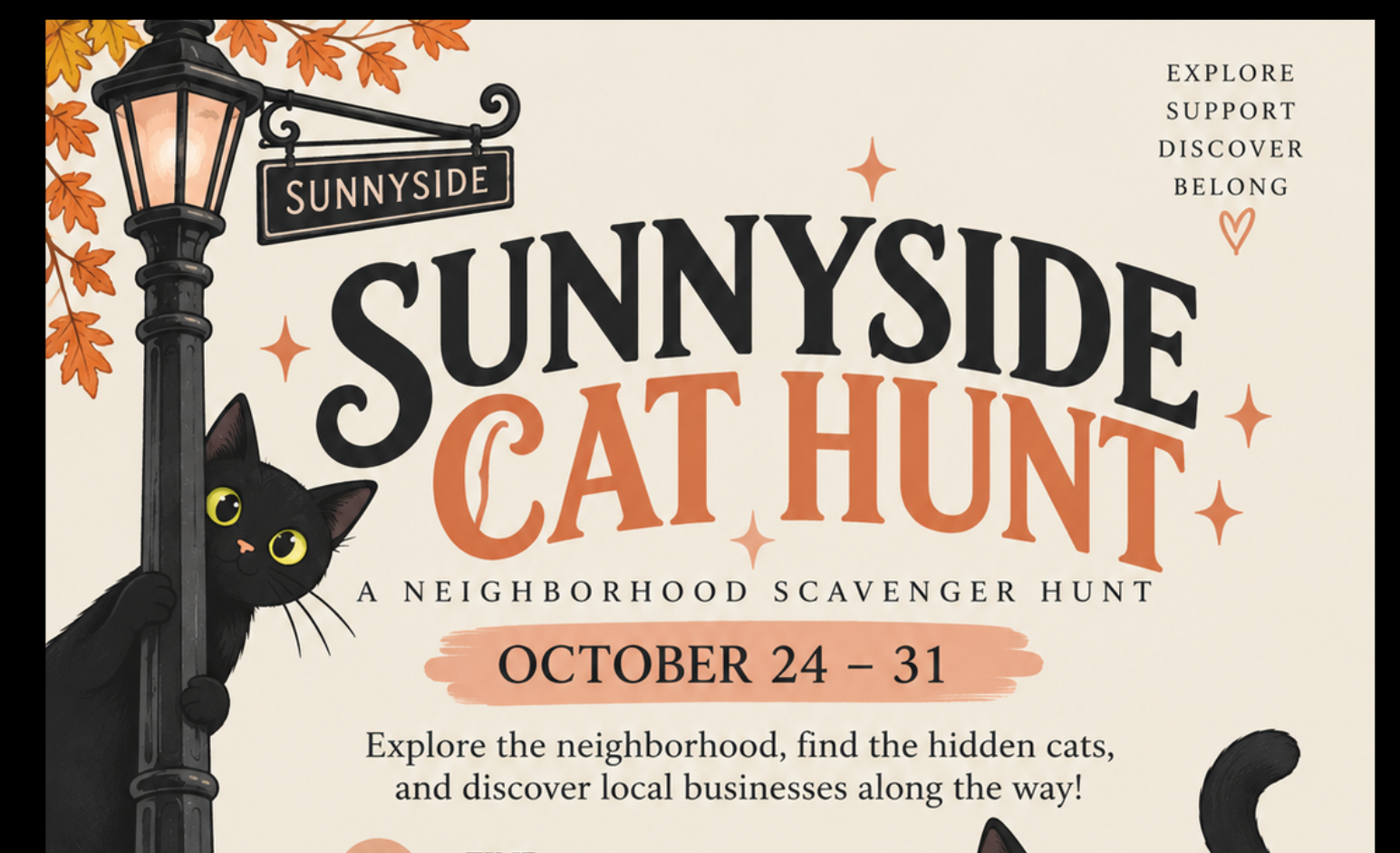🐈‍⬛🔎 The Great Neighborhood Cat Hunt