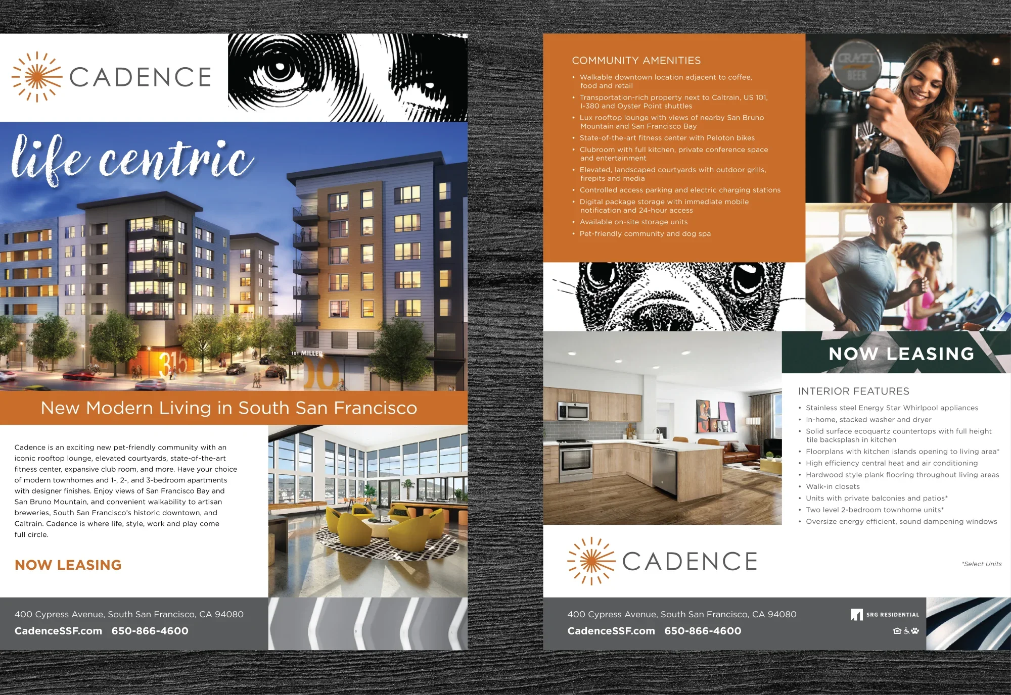 Cadence Sell Sheet