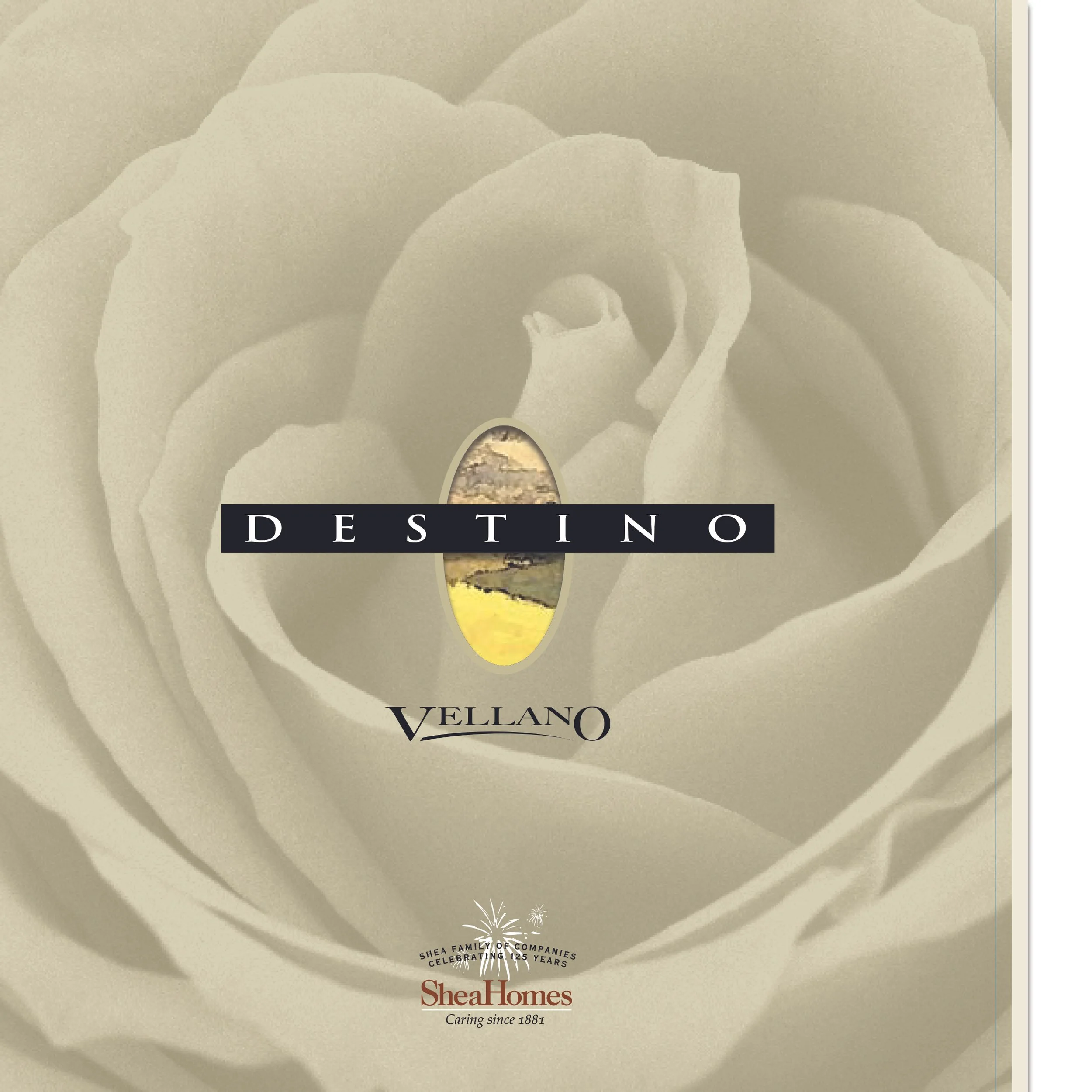 Destino Die Cut Brochure Cover