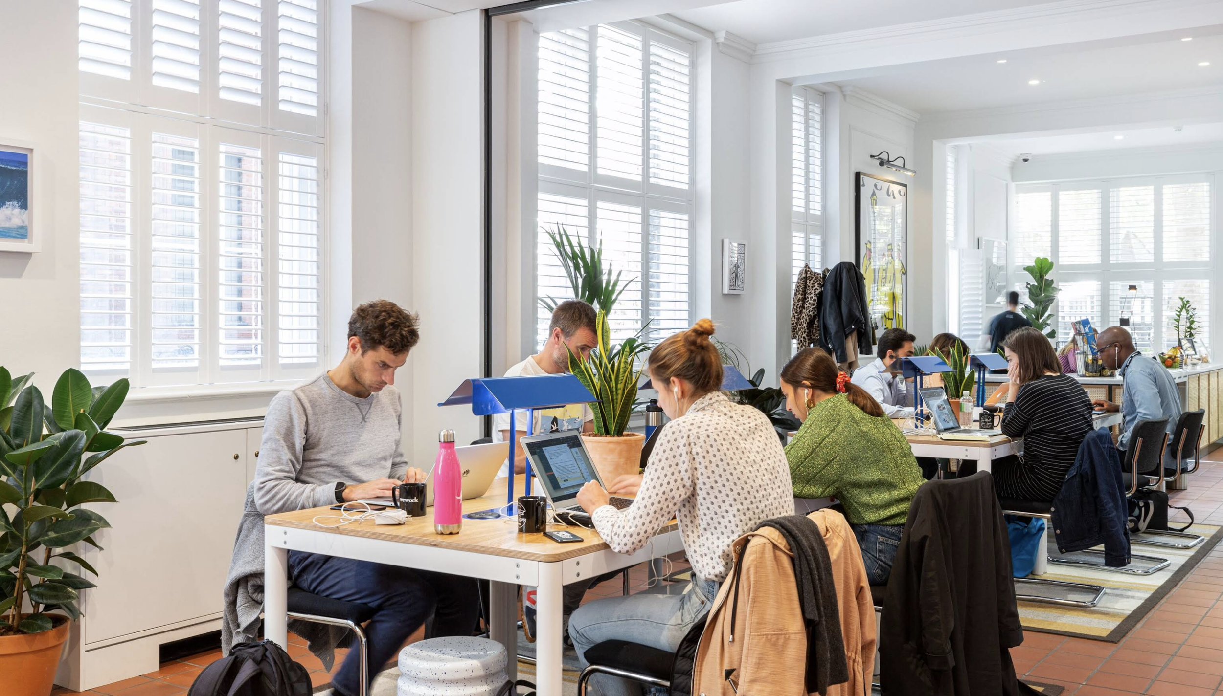 People working at desks in a bright, modern office with large windows and green plants.