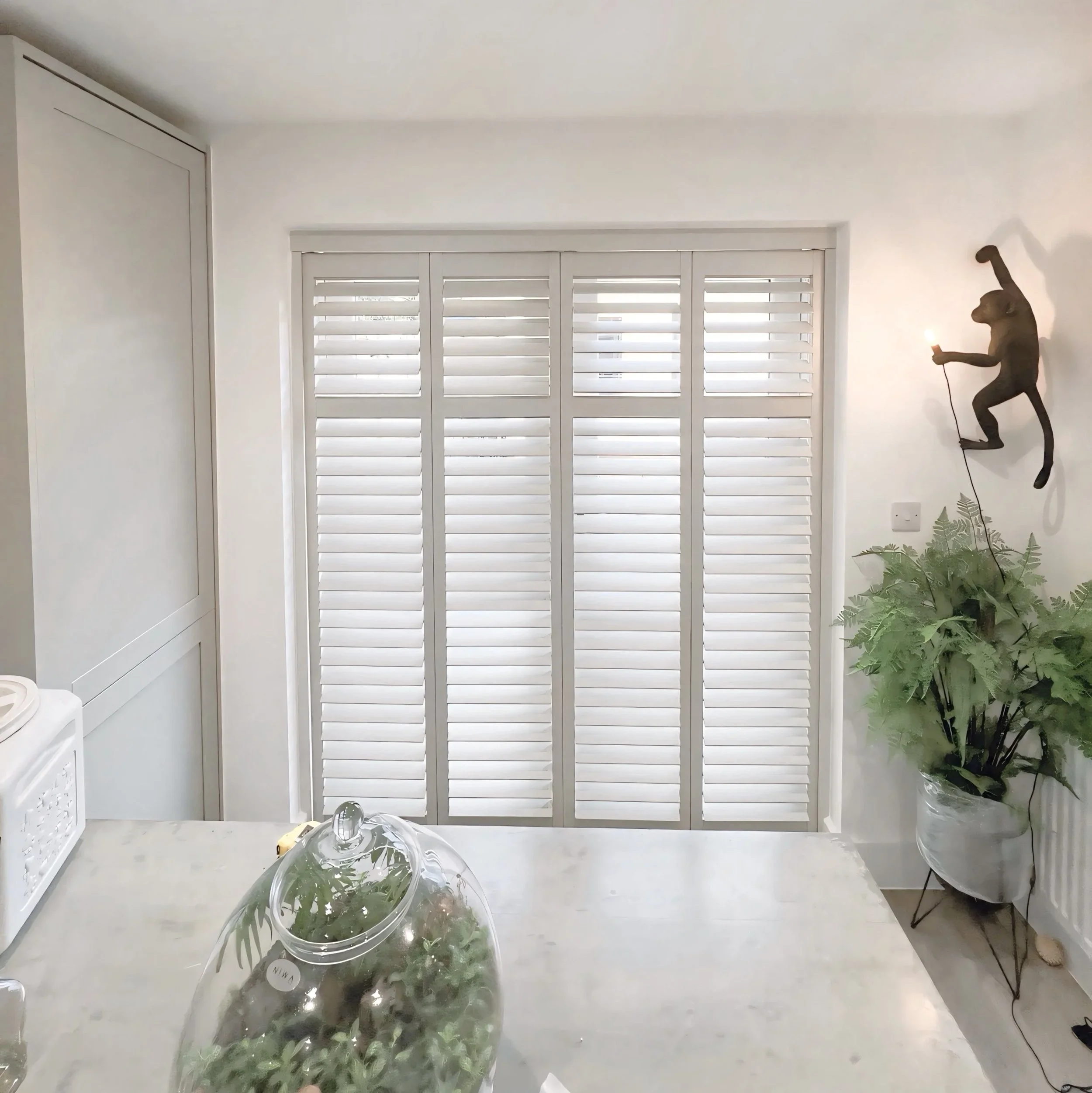A room with white walls, a window with white shutters, a closed white cabinet, houseplants, and a plastic container with plants on the floor.