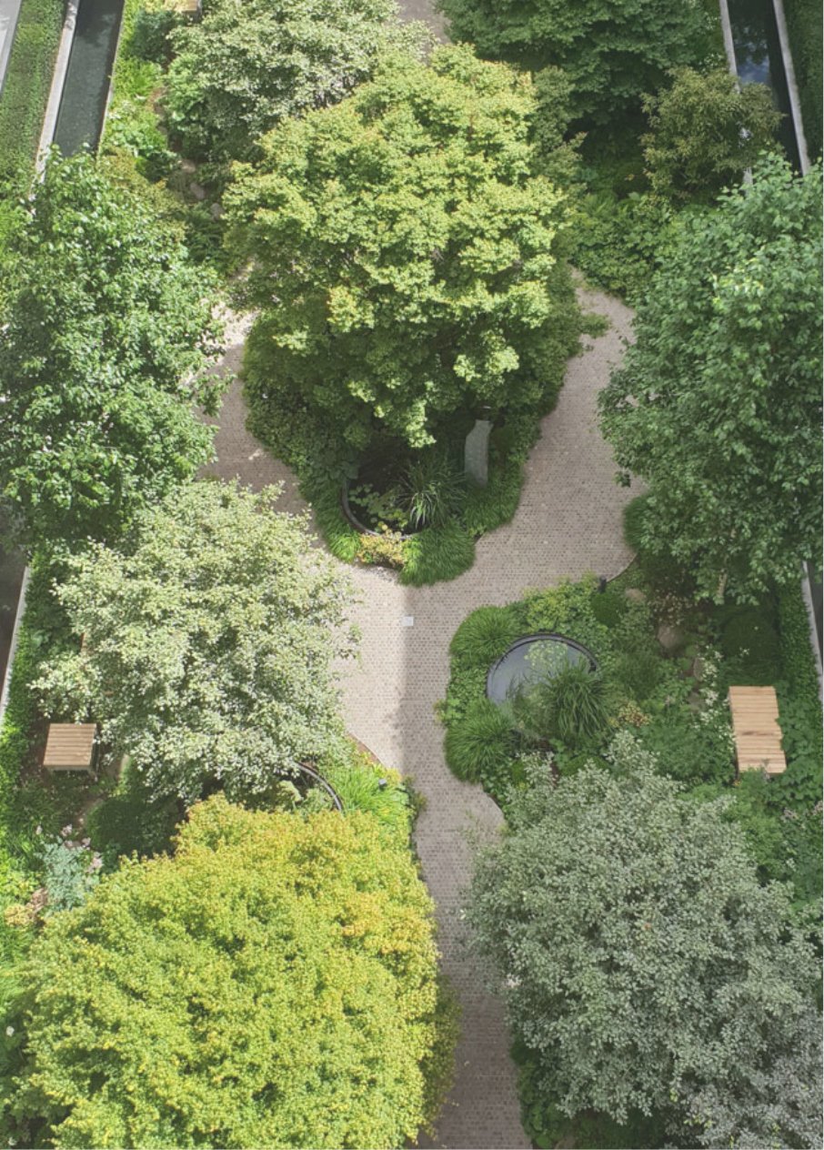 Aerial view of a lush green park with trees, bushes, walking paths, and two small circular water features.