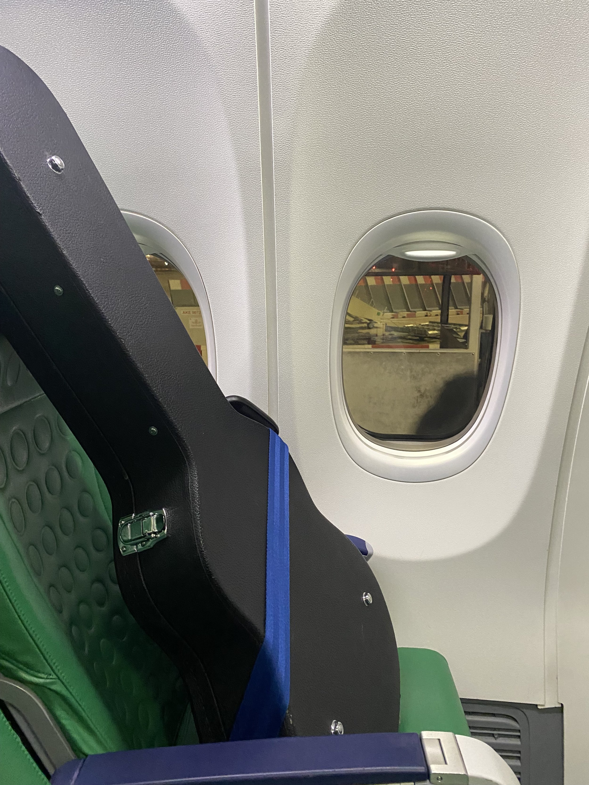 Inside an airplane cabin showing airplane windows, seats, Grace has her own seet and is travelling with Dominic Miller.