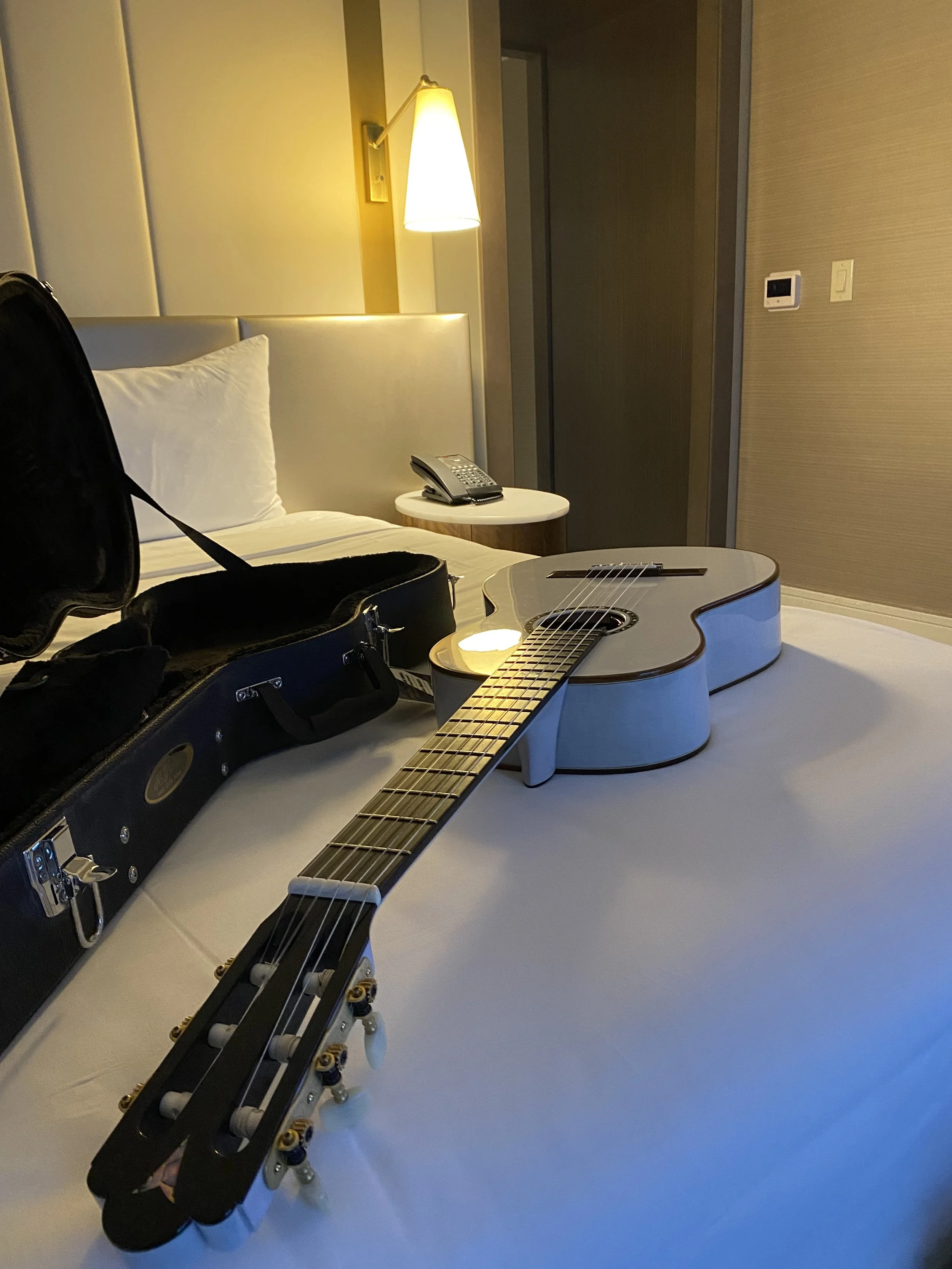 An open guitar case, Grace inside, a bed with pillows, a nightstand with a telephone, a wall lamp, a thermostat, and a closed closet door in a hotel room.