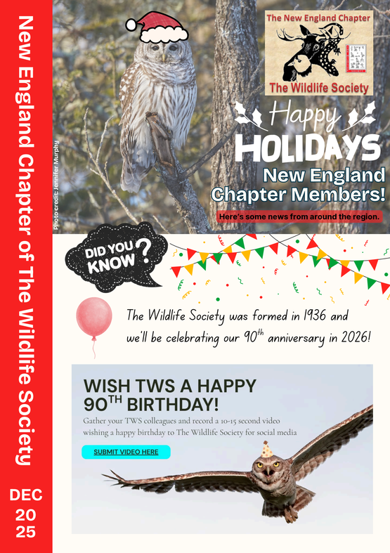 December 2025 Newsletter