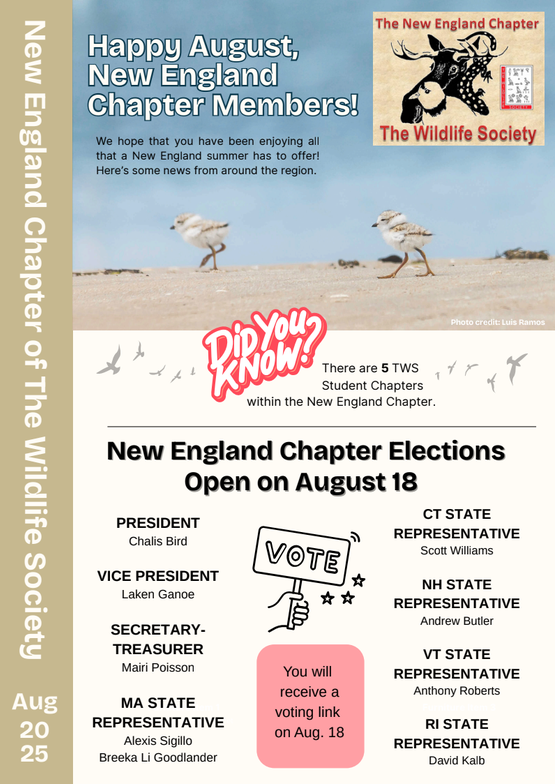 August 2025 Newsletter