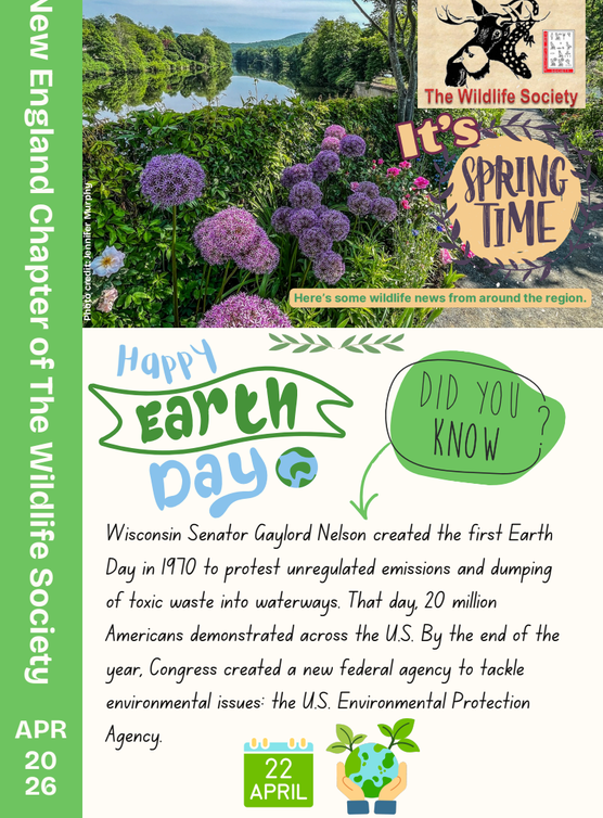 April 2026 Newsletter