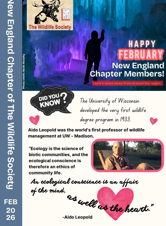 February 2026 Newsletter