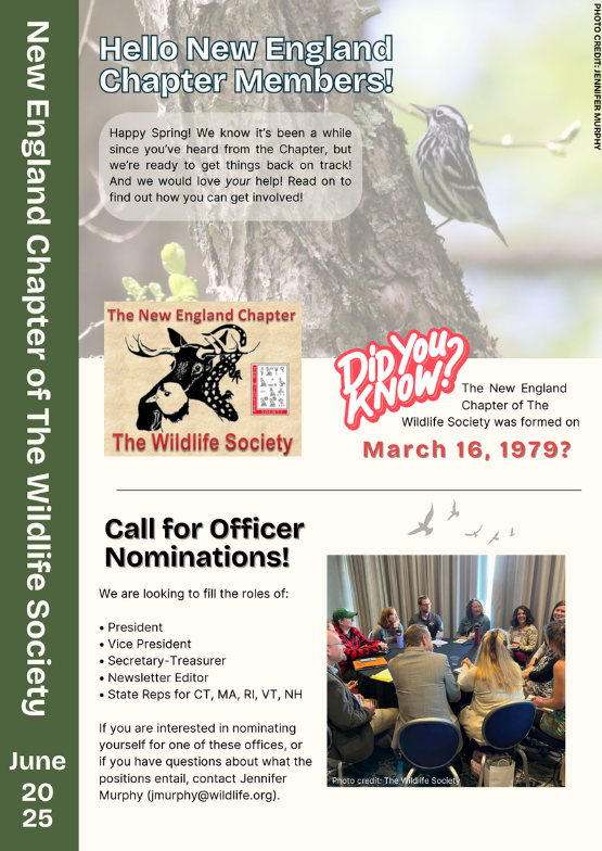 June 2025 Newsletter