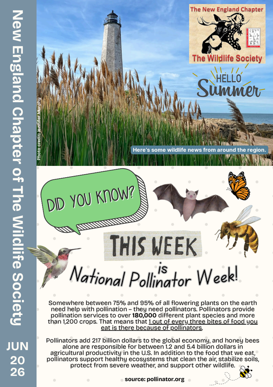 June 2026 Newsletter