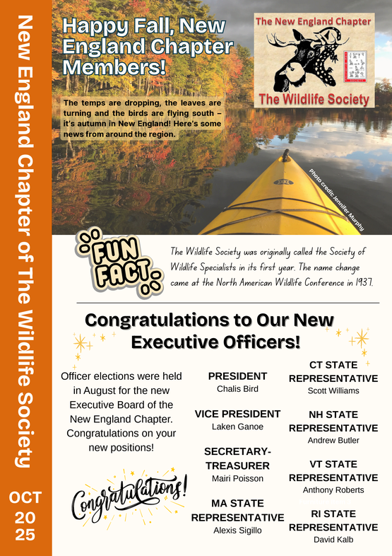 October 2025 Newsletter
