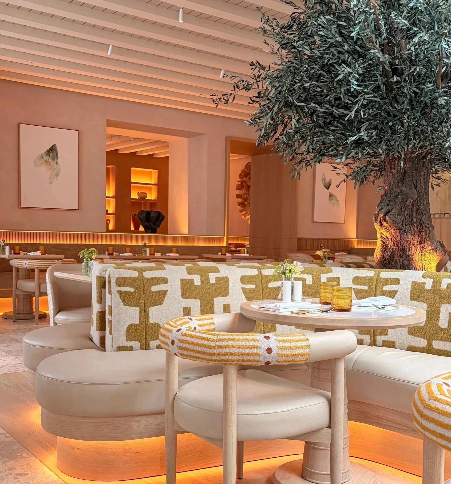 Inside a modern restaurant with curved wooden elements, a large potted olive tree, and low dining tables with beige cushioned chairs and minimalistic place settings.