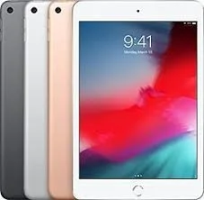 (Used) iPad Mini 5