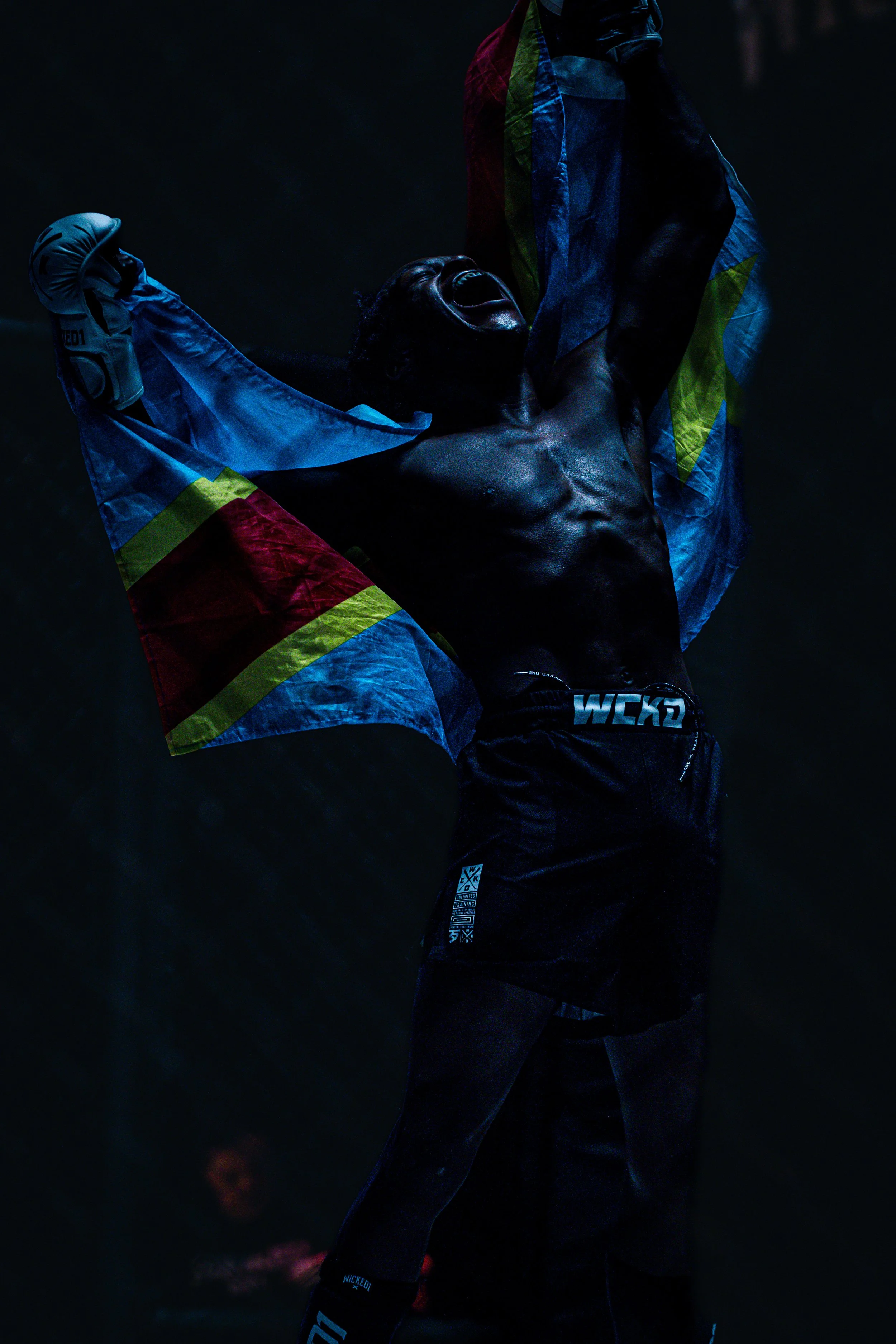 Un homme en tenue de sport célèbre une victoire, levant les bras avec un drapeau coloré en arrière-plan, dans une scène sombre et intense.