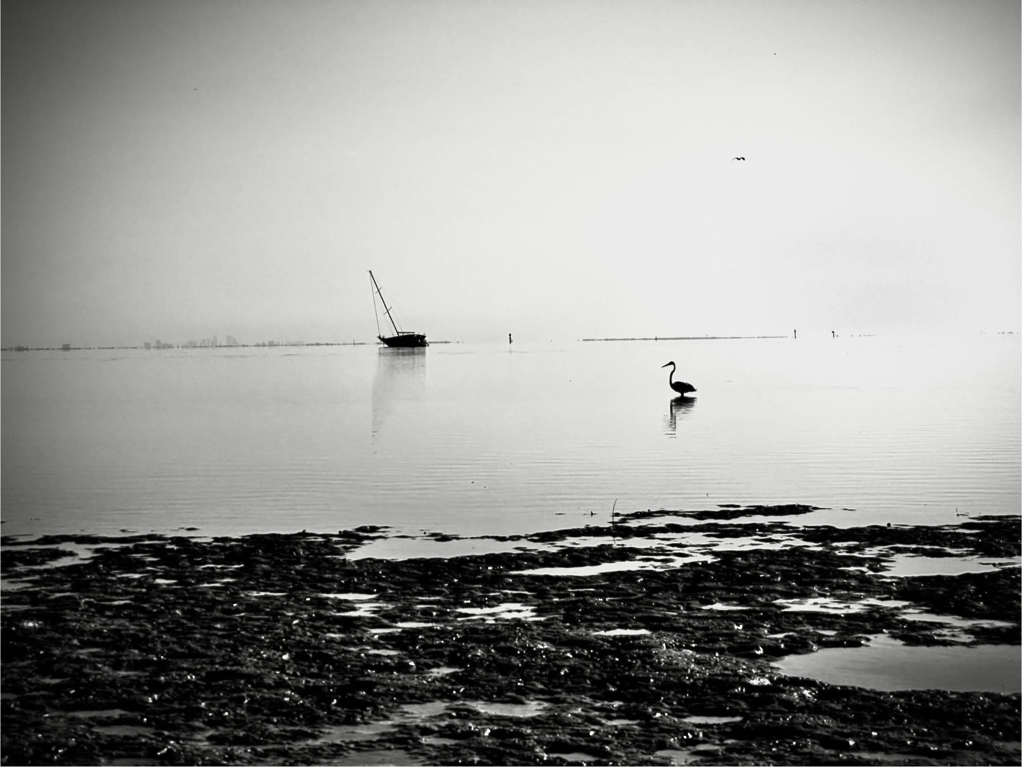 Black and white landscape photograph of a seascape with a sailboat, a bird flying in the sky, and a lone heron standing in the water near the shore.