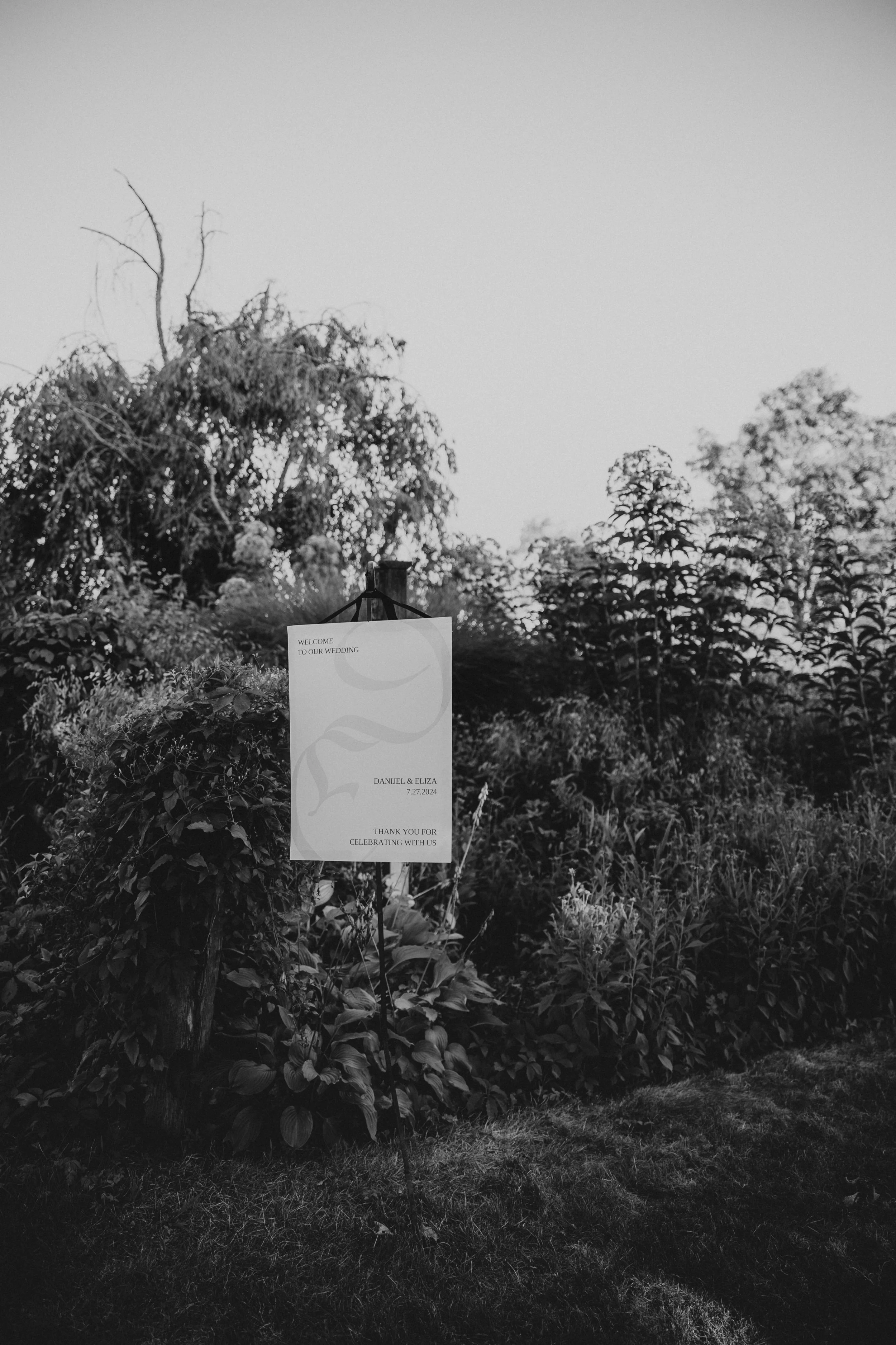 6P3A7311.jpg