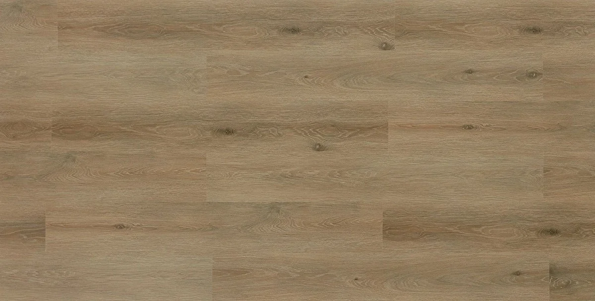 S4ABEIIZ2ZEMJPIA7NNLAPR5(1).jpeg