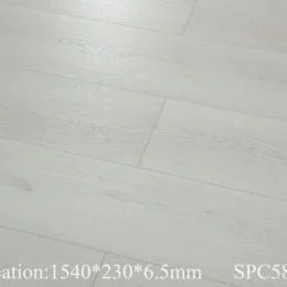 5YSYJIQ2ZWERHNFN6FMPILKZ.jpeg