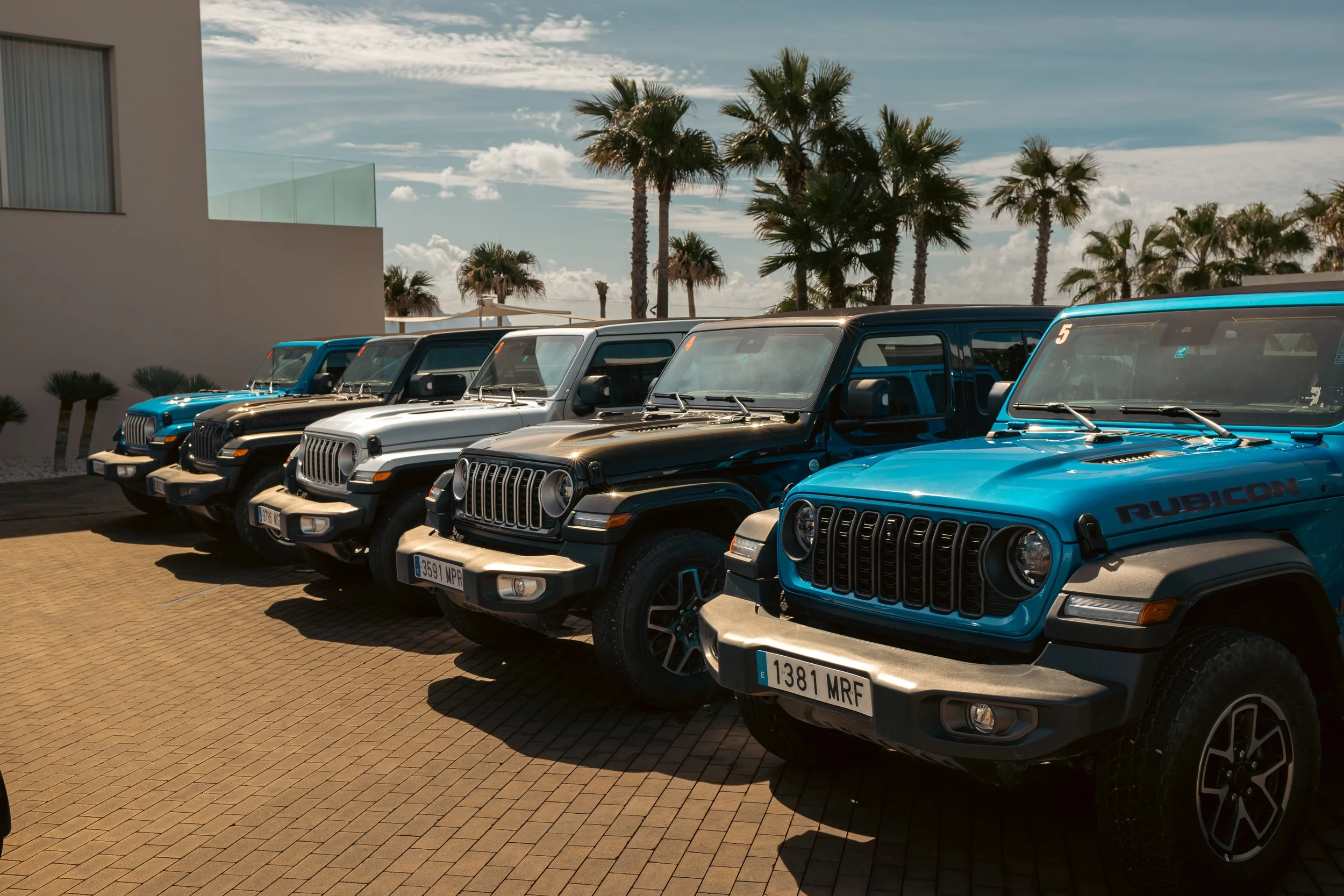 Multiple Jeep vehicles parked in a row on a paved surface against a backdrop of palm trees and a partly cloudy sky.
