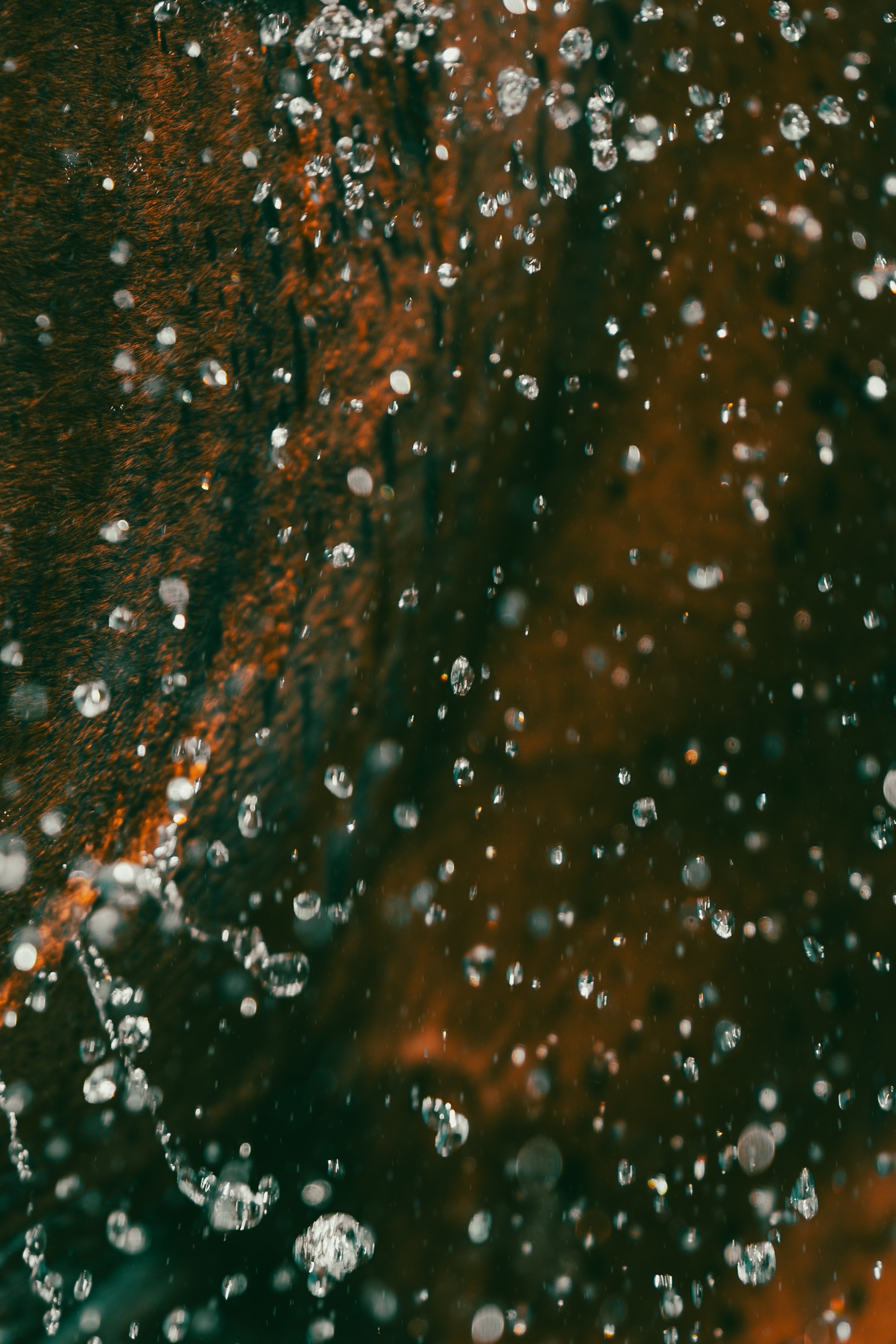 Neiz Horse-5.jpg