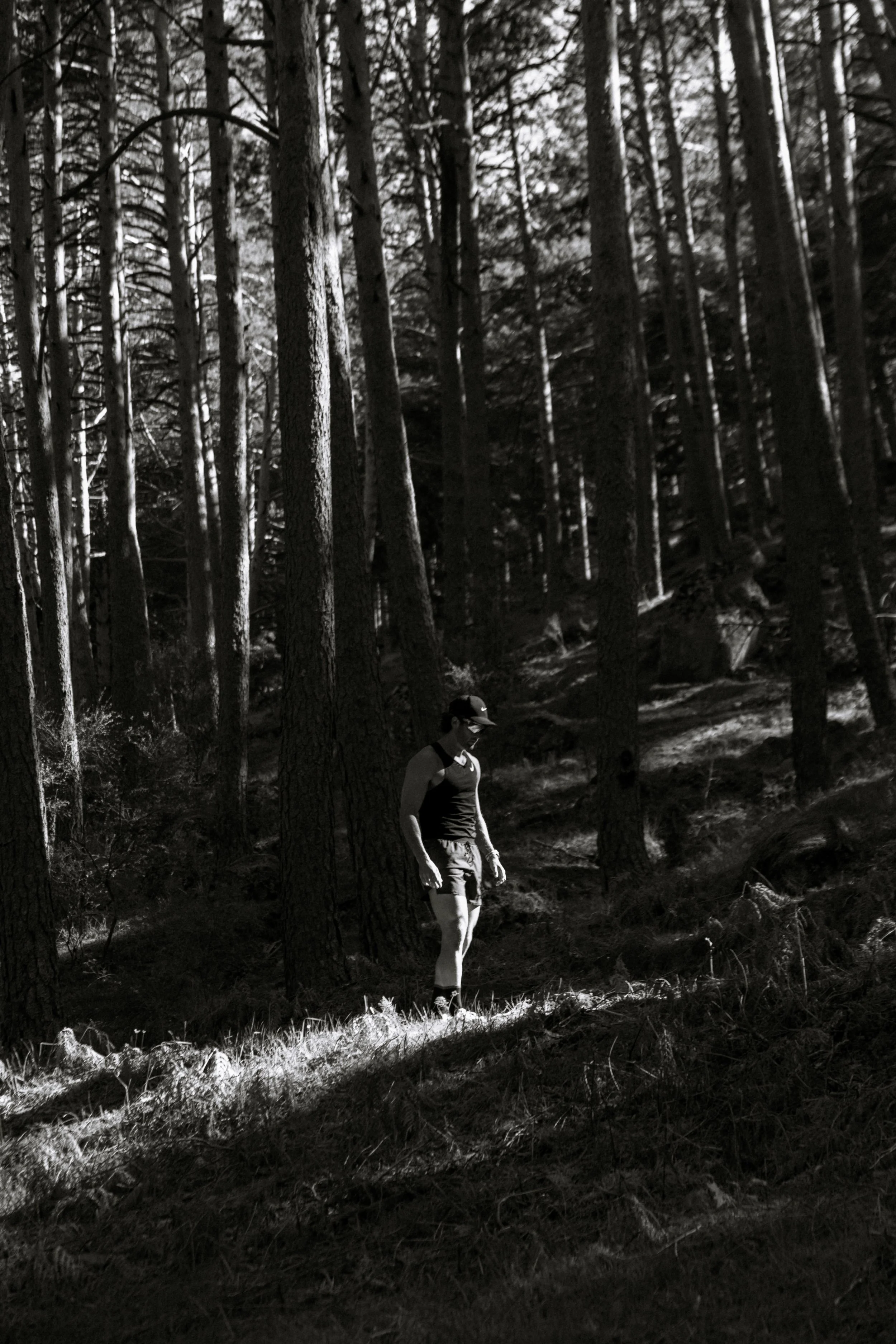 jas oak-30.jpg
