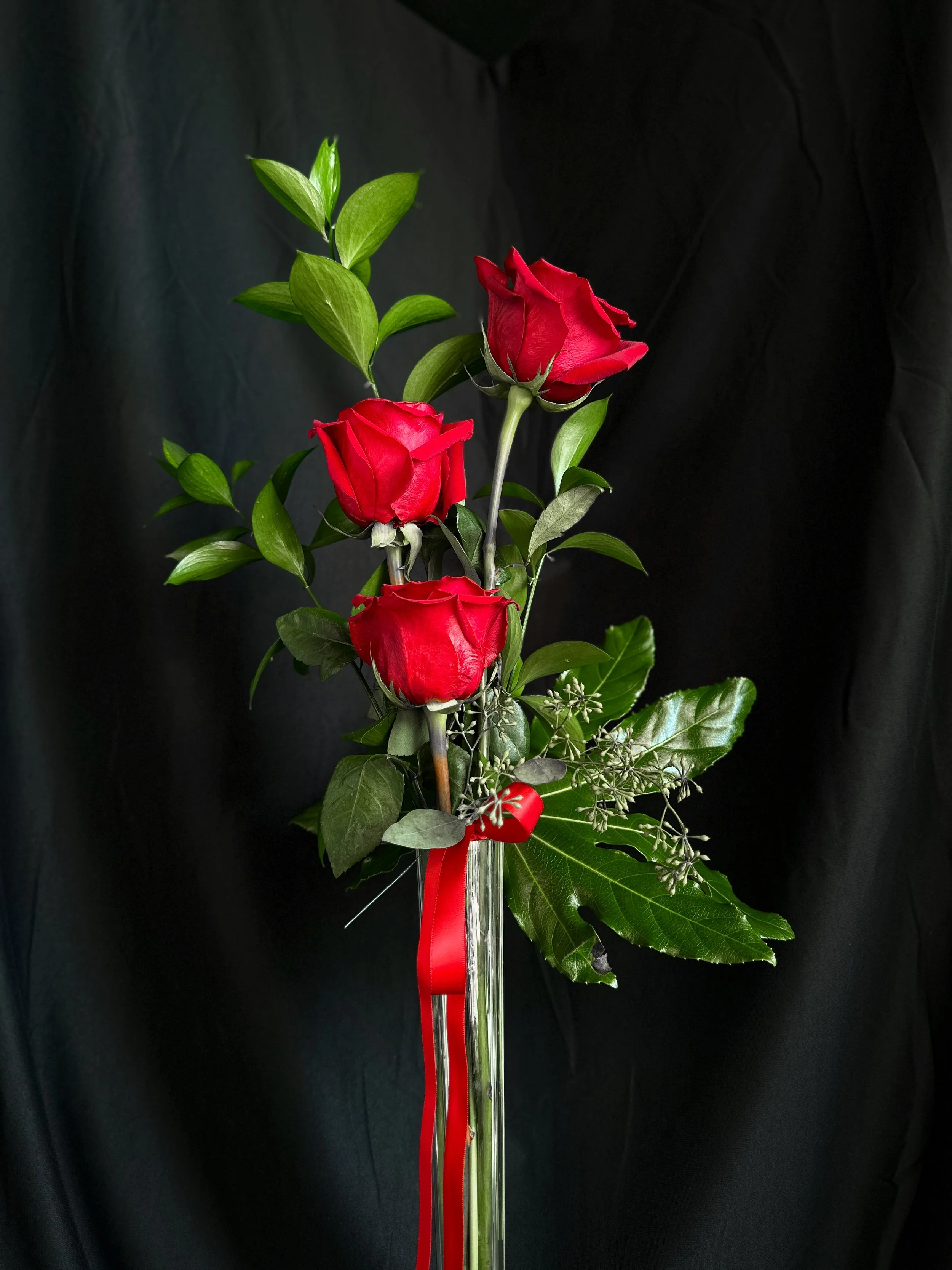 IMG_8782 2.JPG