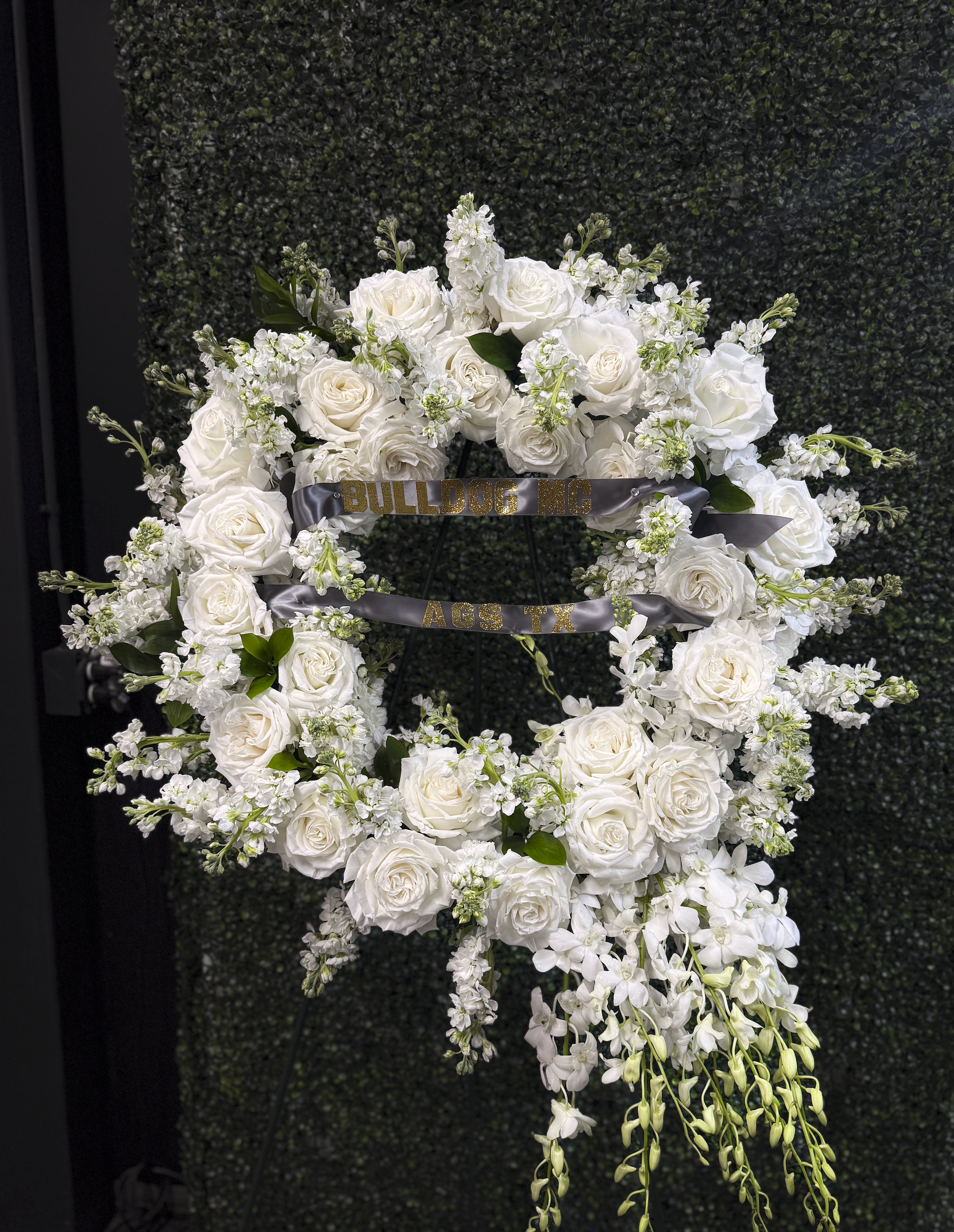 IMG_1279.png