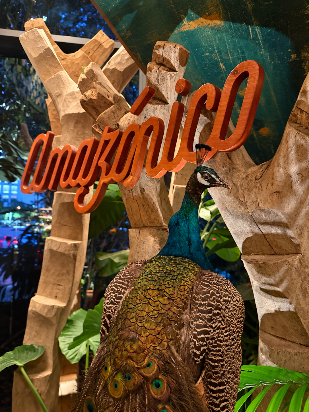 Amazónico entrance sign with a peacock and tropical details