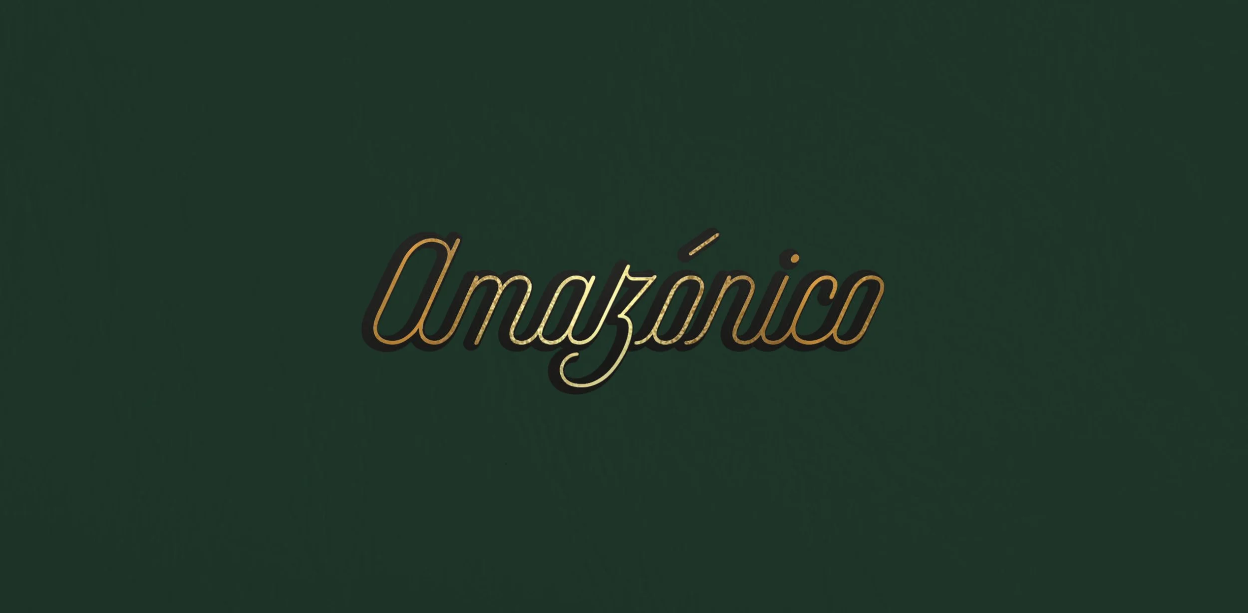 logo_amazonico_horizontal-scaled.jpg