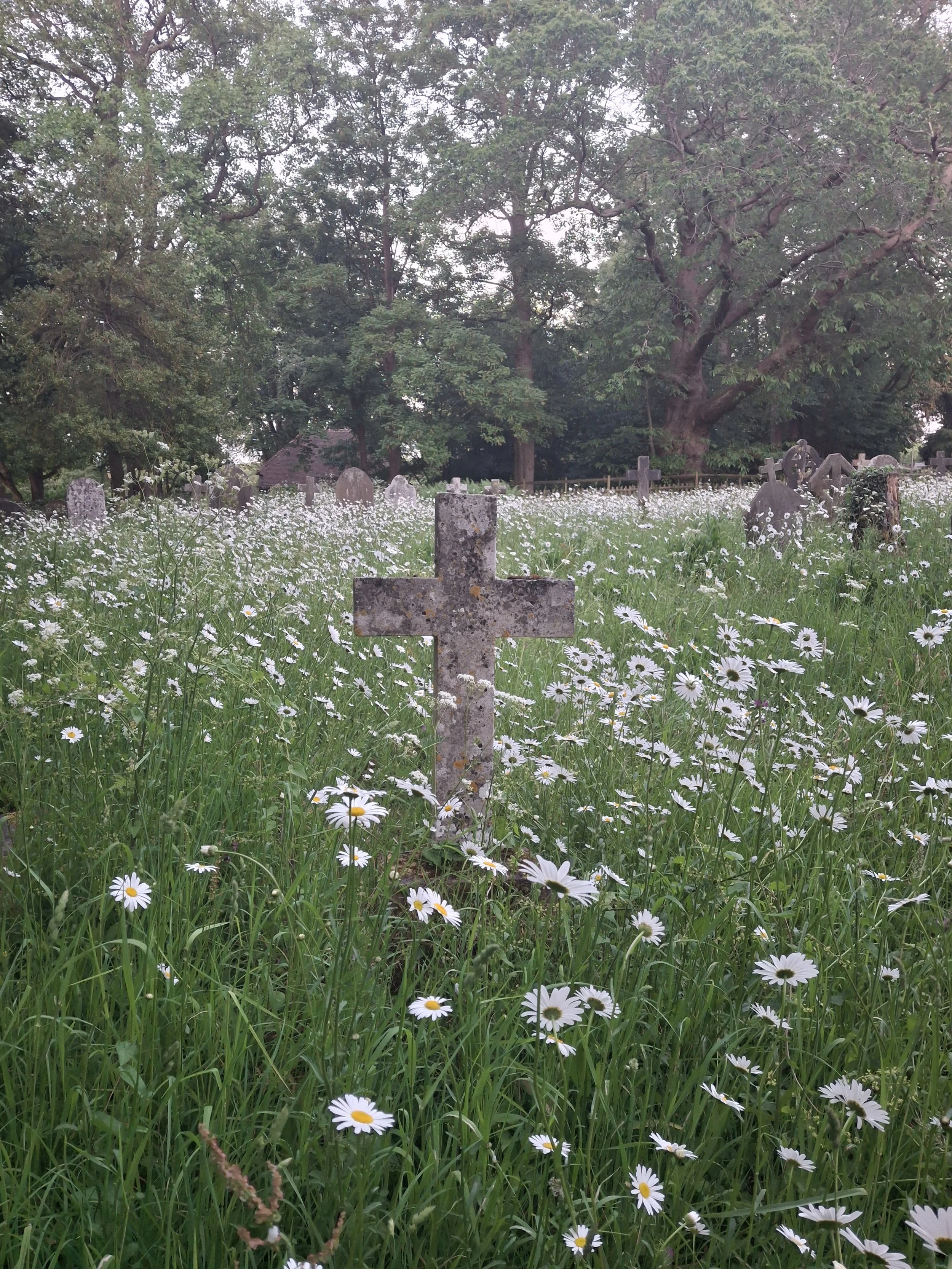 20260524_203937.jpg