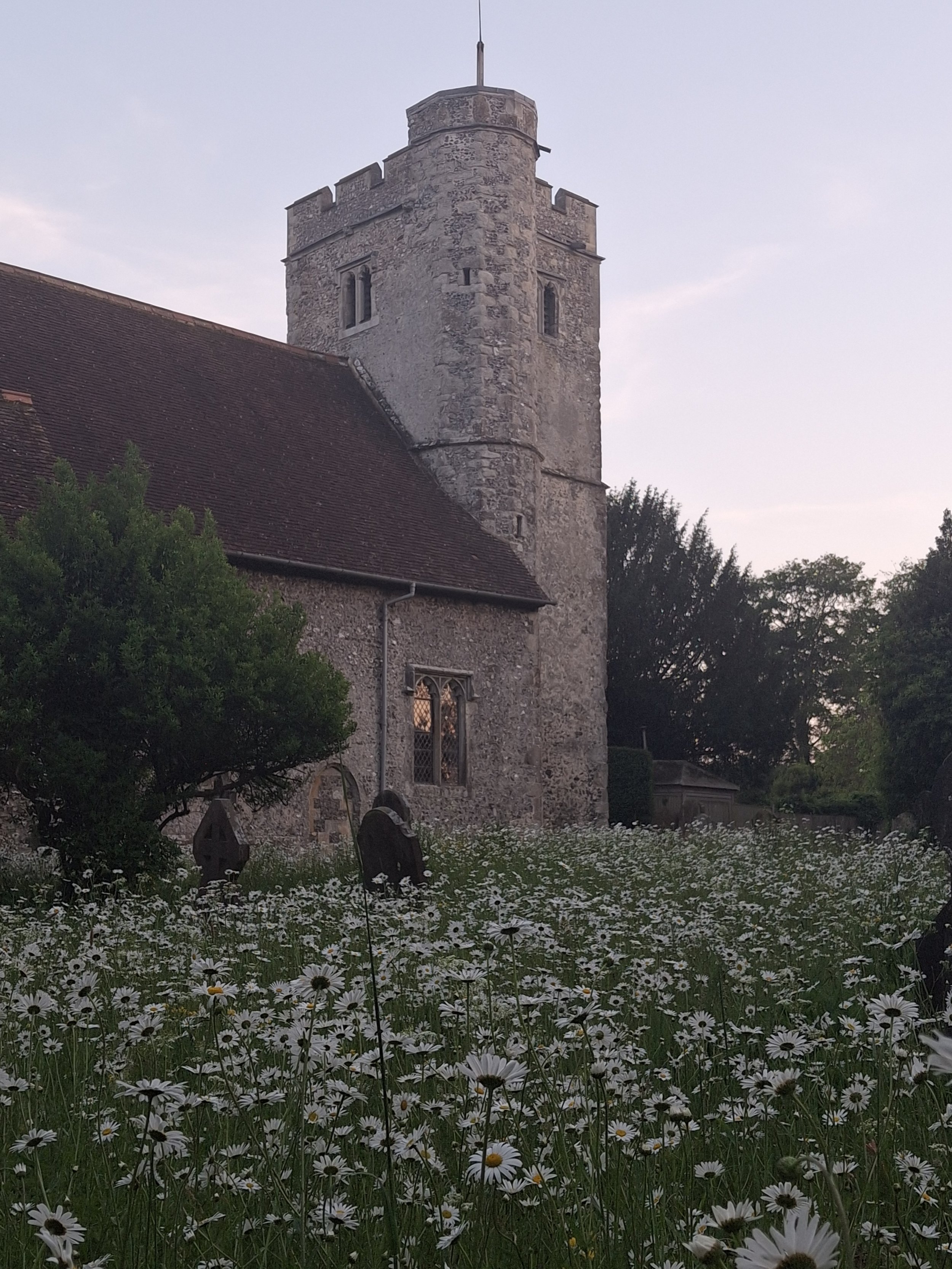20260524_204532.jpg