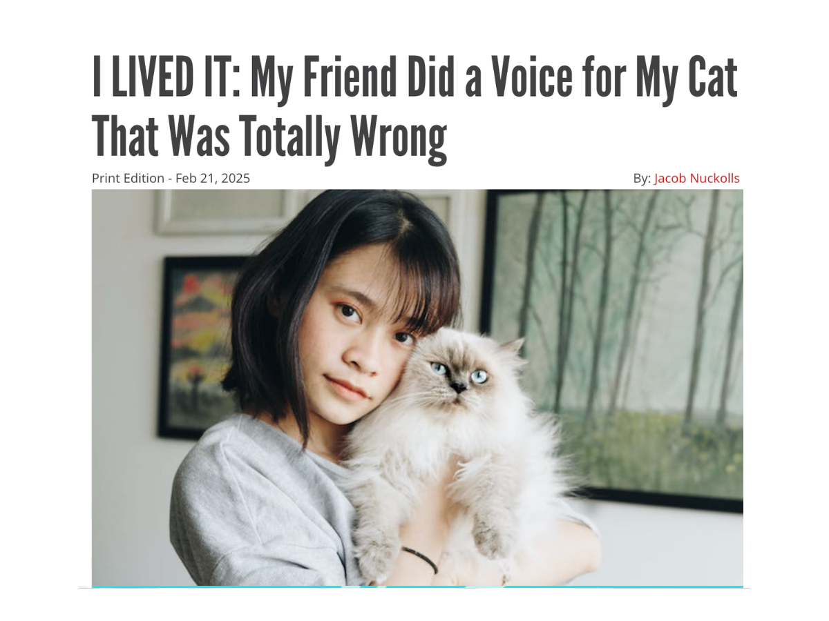 15.png