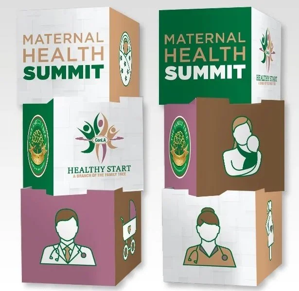 Boxes with logos and icons promoting maternal health and family wellness at the Maternal Health Summit, including health professionals and symbols of health and family care.