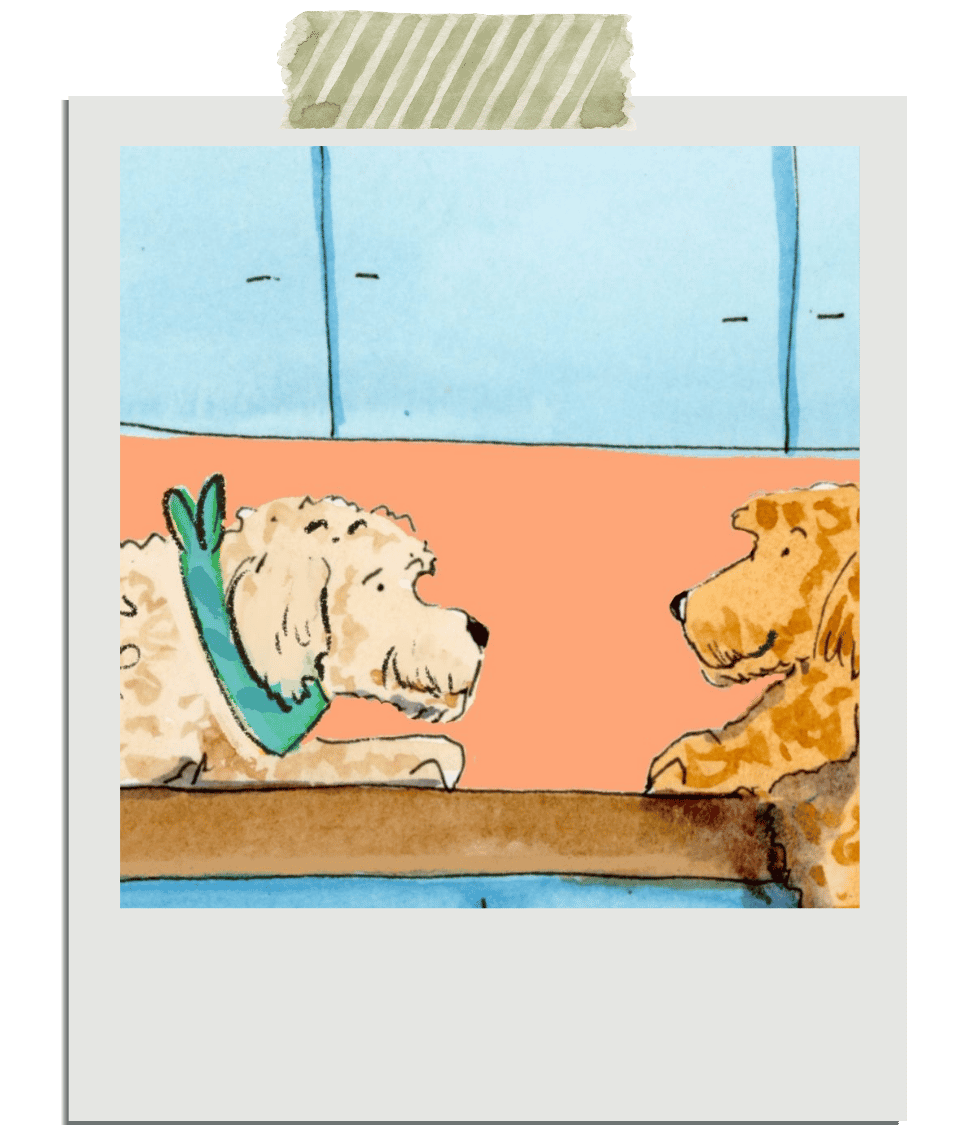 Image from the children book luna and maggie's grand adventures.