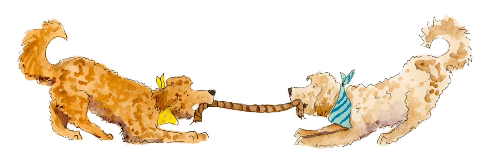 Illustration of three playful dogs tugging a rope between them, wearing bandanas in yellow, blue, and no bandana, against a transparent background.