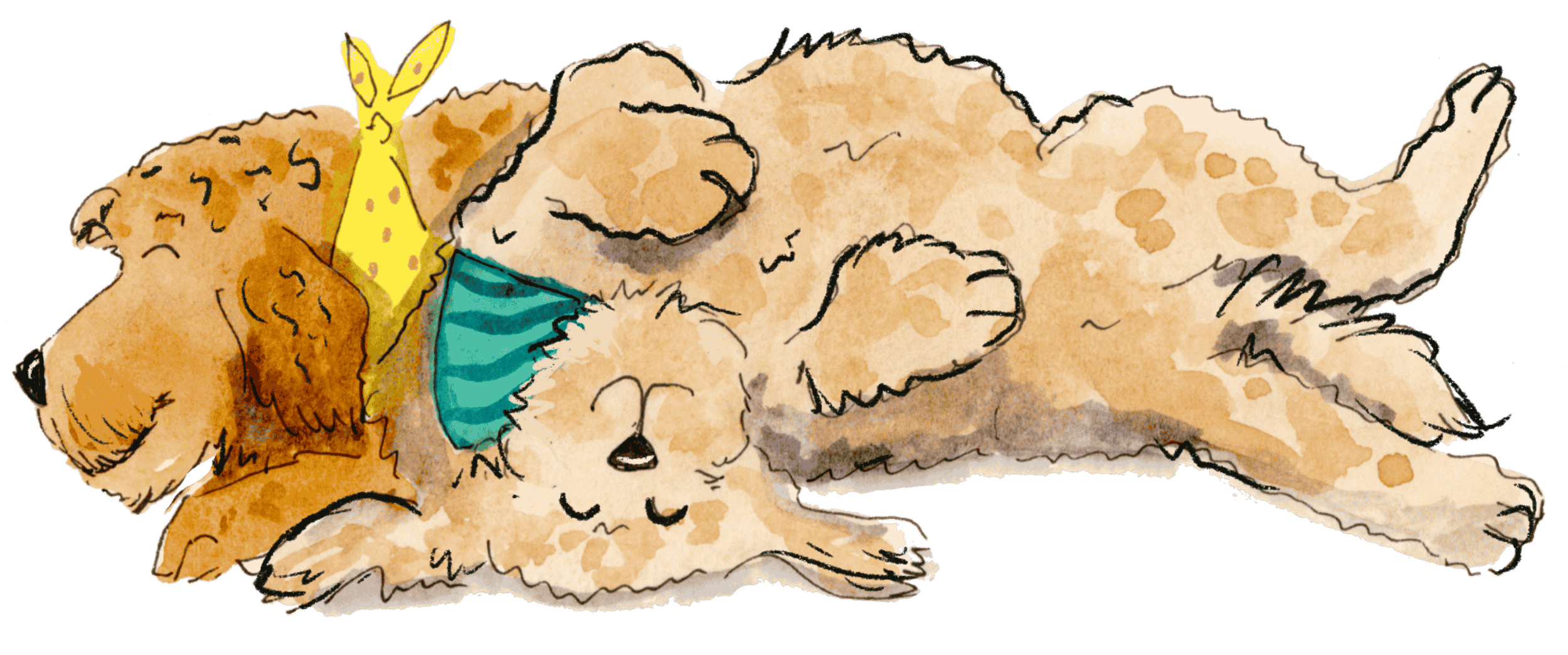 Watercolor illustration of a dog lying on its back with paws up, wearing a blue striped bandana around its neck, and a yellow star-shaped toy next to its face.