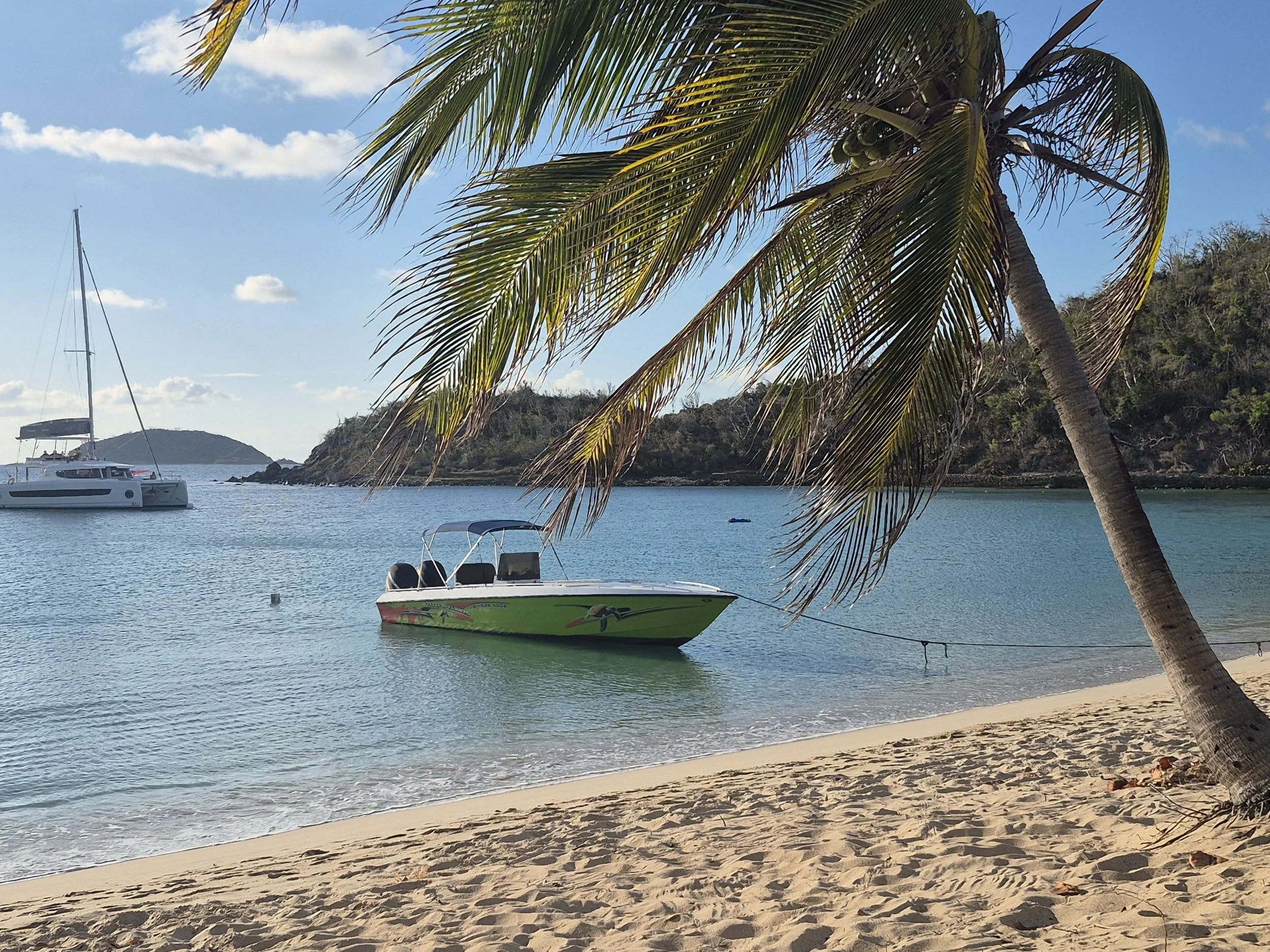 A tropical beach scene with a sandy shore, a palm tree leaning over the water, and boats docked near the shore, with a hilly island in the background and a partly cloudy sky.