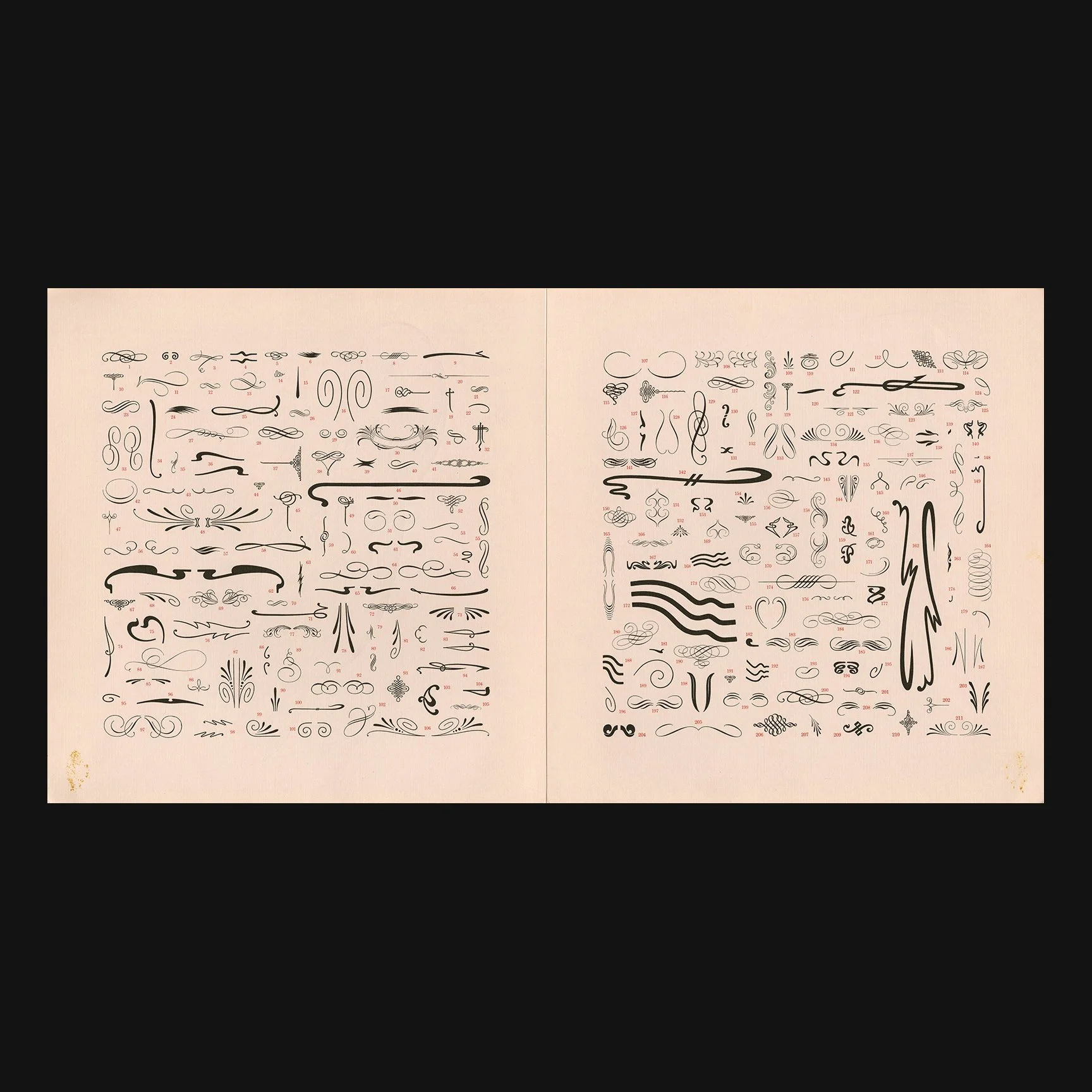 scher_dingbats_portfolio_17.jpg